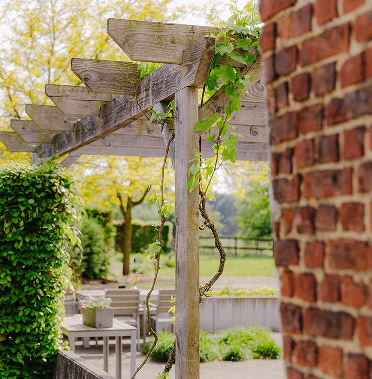 TERHEYDE-202505-©BUROBONITO-67