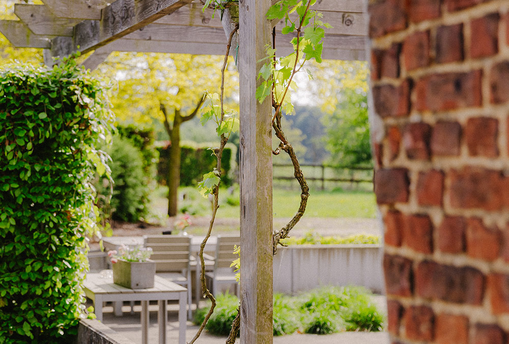 TERHEYDE-202505-&copy;BUROBONITO-67-2